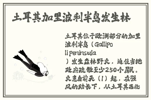 情侣插秧姿势参考绘画小电影